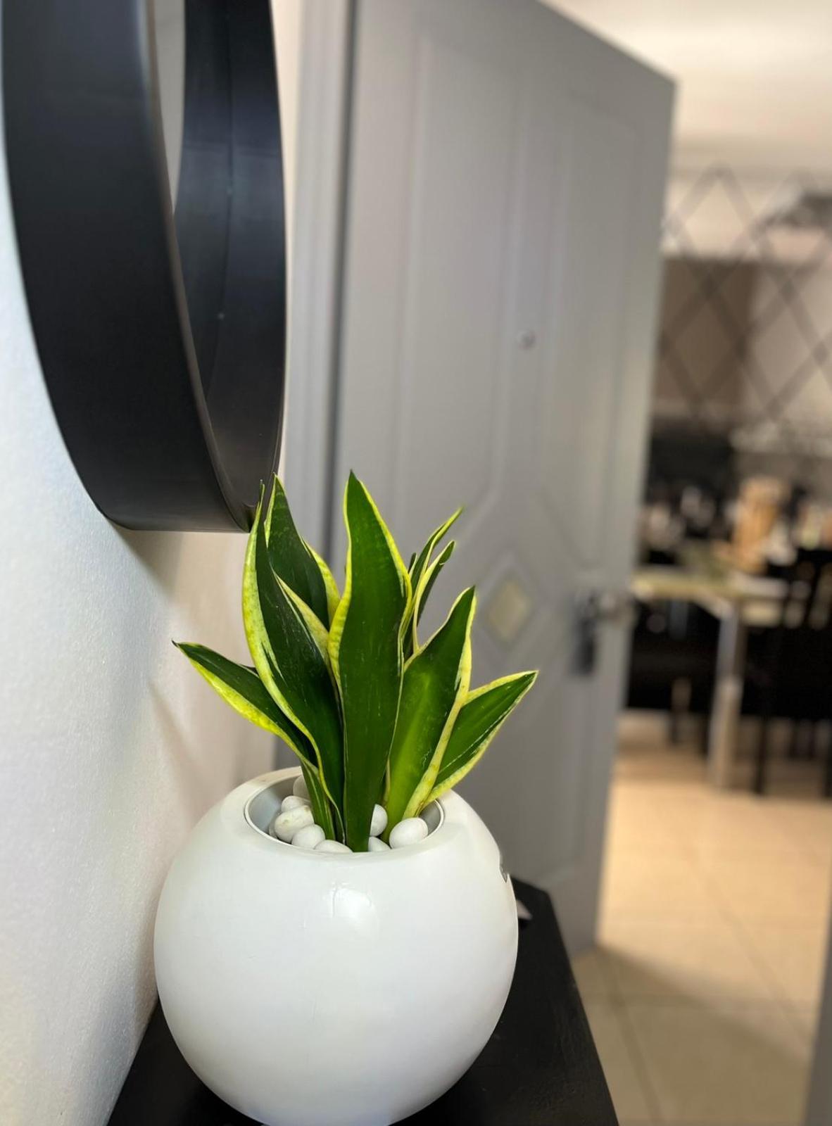 Diamond City Lux Apartment Argostoli  Bagian luar foto